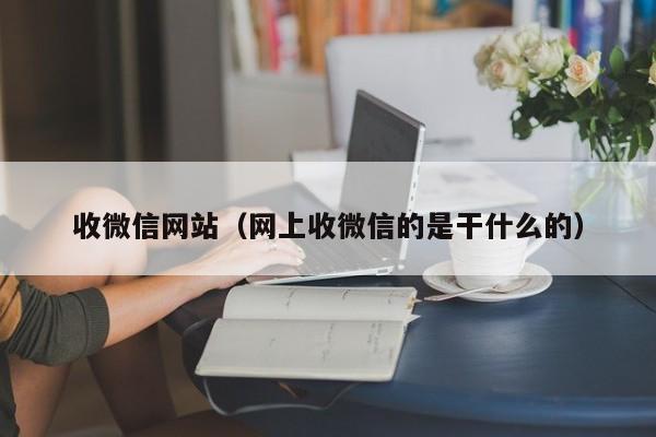 收微信网站（网上收微信的是干什么的）