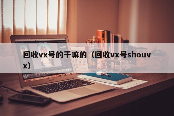 回收vx号的干嘛的（回收vx号shouvx）